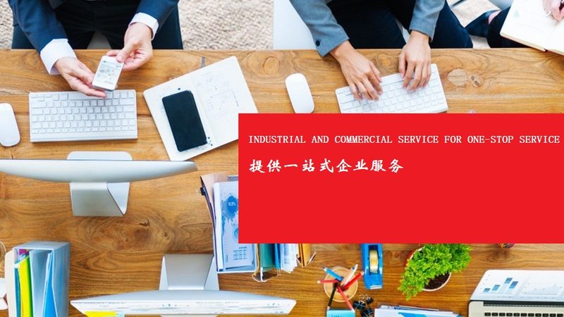 管理咨询公司项目定制方案