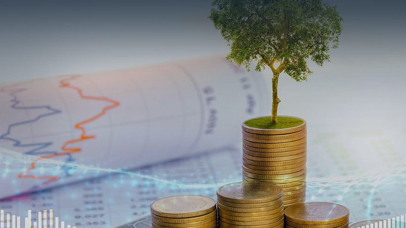 薪酬绩效咨询：分类与适用场景解析**